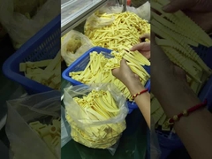 কাস্টমাইজড সিলিকন রাবার O রিংস এক্সট্রিম তাপমাত্রার জন্য (-30.C ~ 230.C)